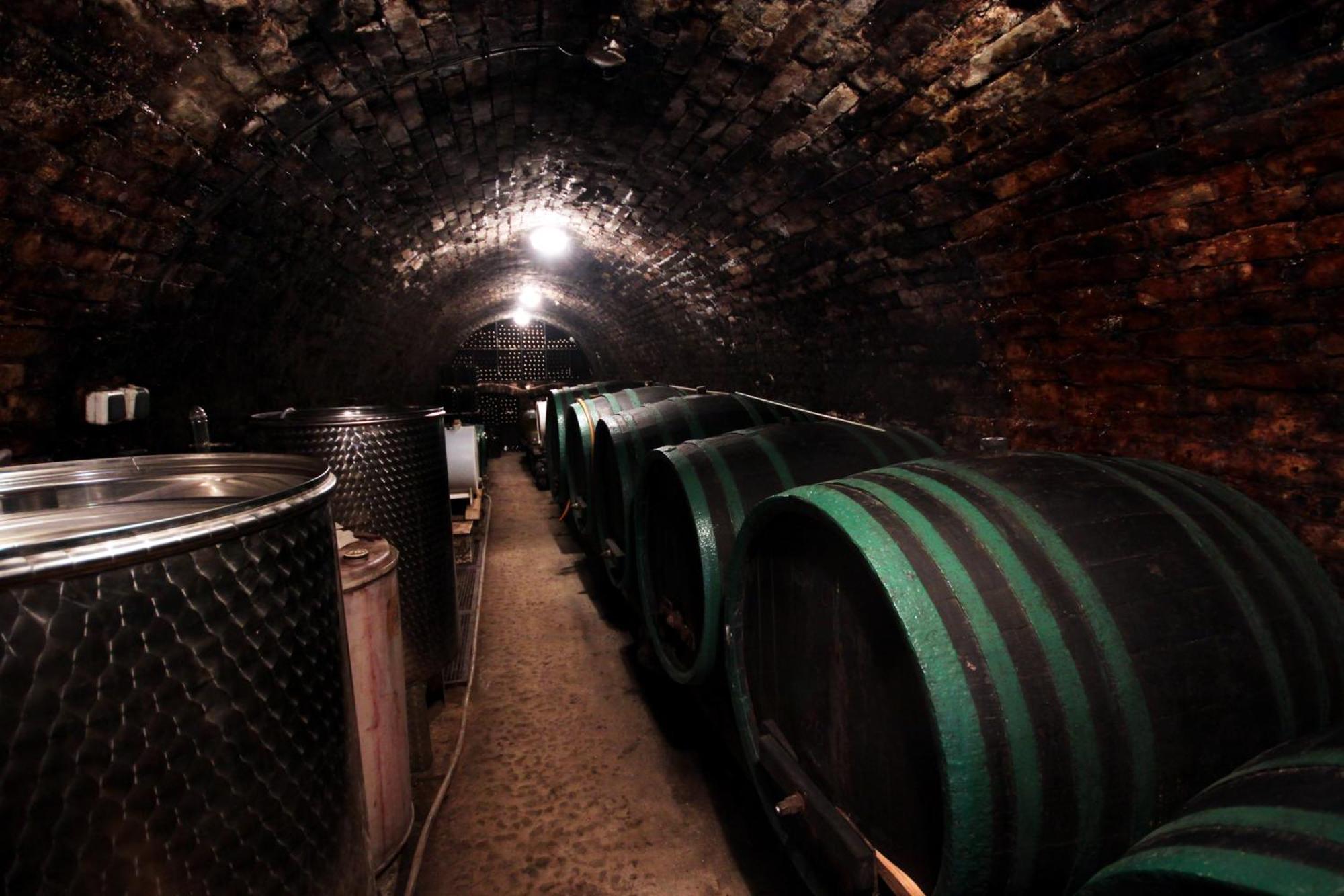 Hotel Kravi Hora Bořetice エクステリア 写真